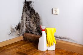 Dehumidification Services in East Massapequa, NY